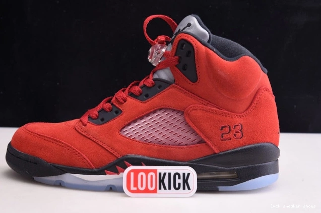 Cheap LUCY DD0587-600 Raging Red (2021) Bulls 5 Retro Jordan 0821
